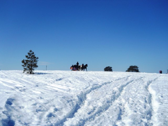 ZLATIBOR_1