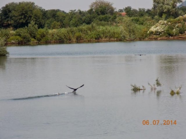 bagrdansko-jezero-2014-3